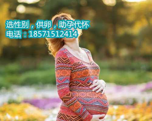 北京供卵流程,科技的奇迹,美好生育