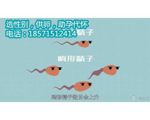 北京供卵流程,不孕不育夫妻的福音