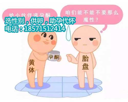 北京供卵流程,您的怀孕之路的好伙伴