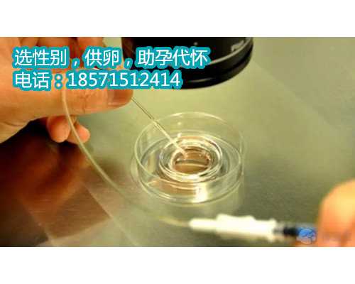 北京试管助孕公司,科技医学的奇迹