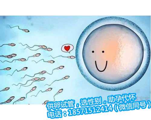 北京供卵流程,重拾生育希望的机会