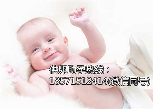 北京供卵助孕中心与成功率的关系