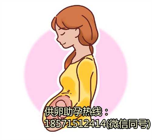 北京助孕价格,解决您的心头之痛