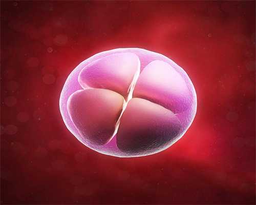 怀孕_e试管：小夫妇“肥胖新生儿”四个细胞给了抗视野