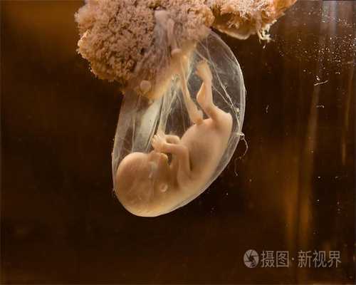 北京助孕中心价格表-代孕会有孕母基因吗_2018北