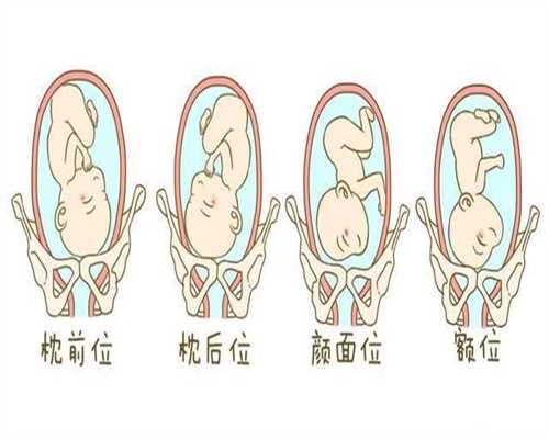 北京代孕孩子有别人细胞吗-代孕中介的合同怎么签_全北京可做无创DNA检测的医