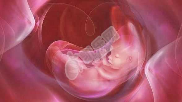 北京借卵供卵试管生子流程,双胞胎7个月早产